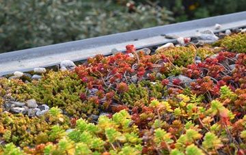 the cost of Groes Faen green roof installation