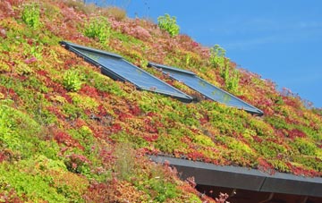 Groes Faen living roof systems